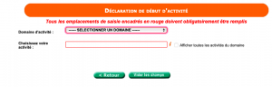 domaine activité numéro siret