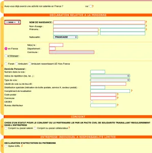 déclaration identité numéro siret